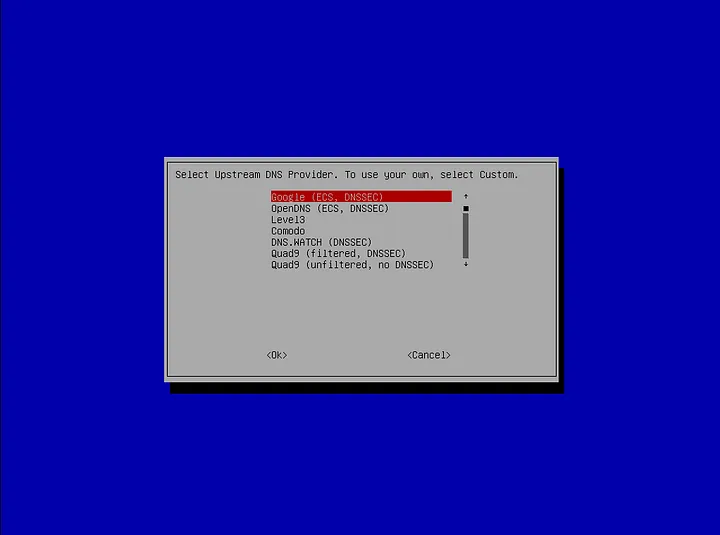 DNS Provider Selection